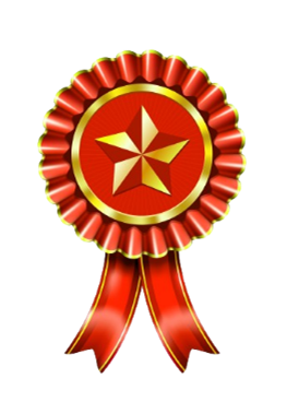 tech1 medal
